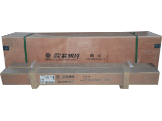 凸轮轴/Camshaft 612600050087