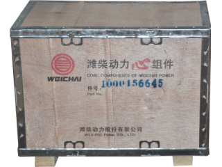 活塞组件/Piston Kits 1000156645