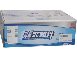 活塞/Piston  1000650939