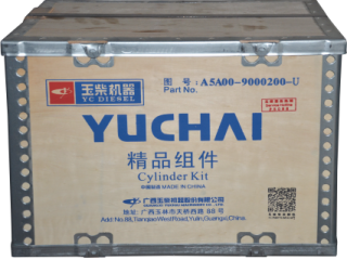 活塞组件/Piston Kits A5A00-9000200-U