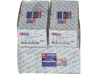 气门导管/Valve guide L3000-1003172A-P