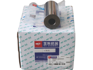 活塞销 Piston pin K6000-1004004A