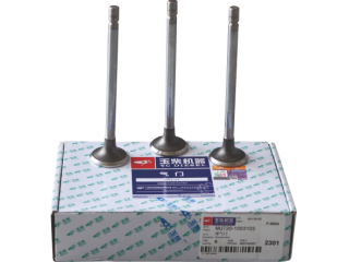 排气门 Exhaust valve MJ720-1003103
