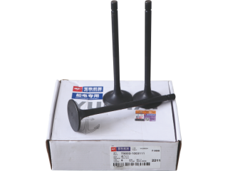 进气门 Intake valve T9000-1003111