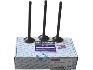 进气门 Intake valve MJ720-1003111