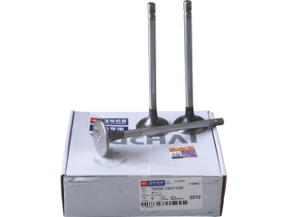 排气门 Exhaust valve T9000-1003103B