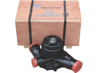 水泵/Water pump TD600-1307100F