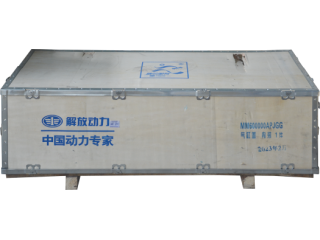 气缸盖/Cylinder head MM600000APJGG