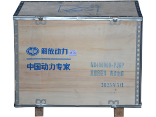 活塞组件/Piston Kits N8400000-PJ6P