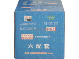 活塞组件/Piston Kits YTR4105